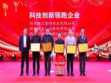 Han Ling 회장과 YALAN, 산시성 민주건설협회로부터 2023년 표창 수상